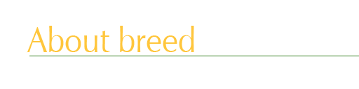About breed