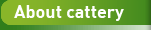 About cattery